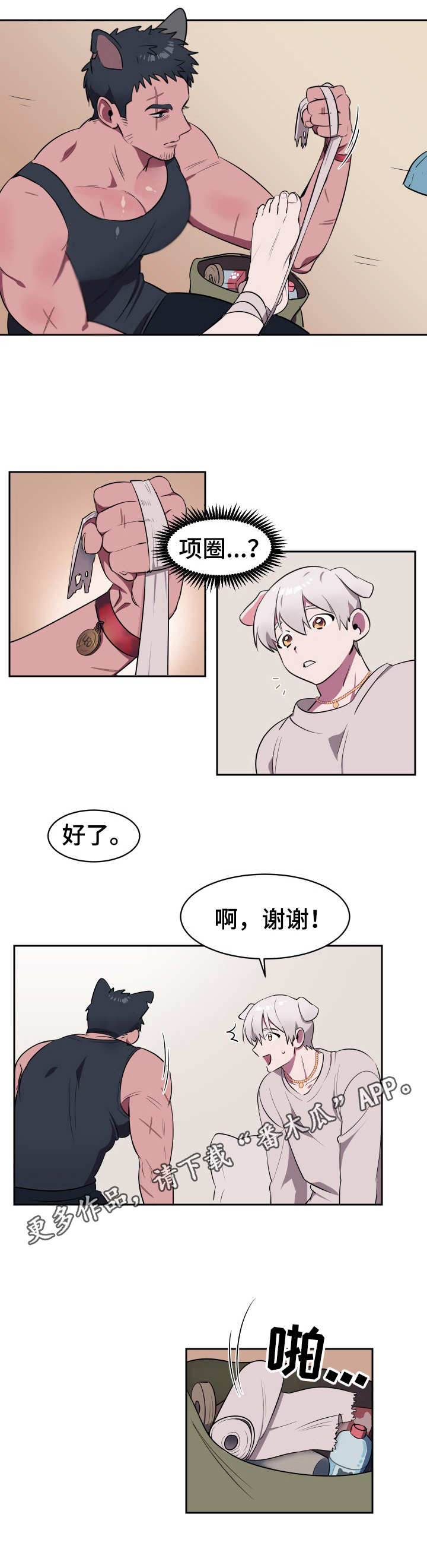 第2章：收留7
