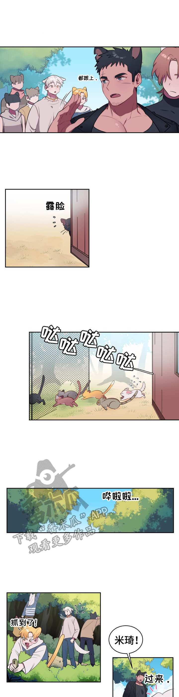 第3章：寻找食物5