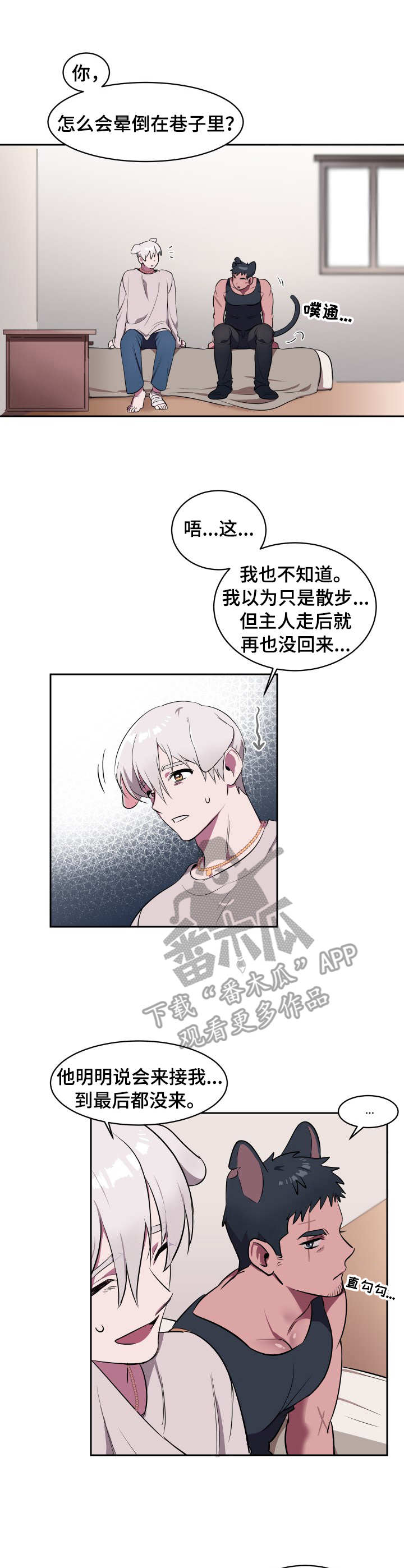 第2章：收留8