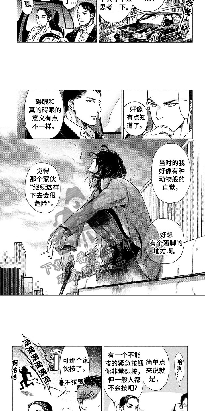 第18章：坠落8