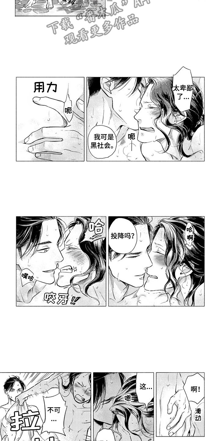 第12章：斗气8