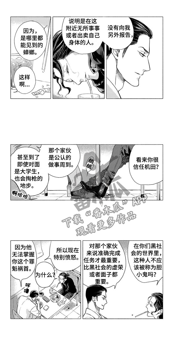 第6章：挑衅6