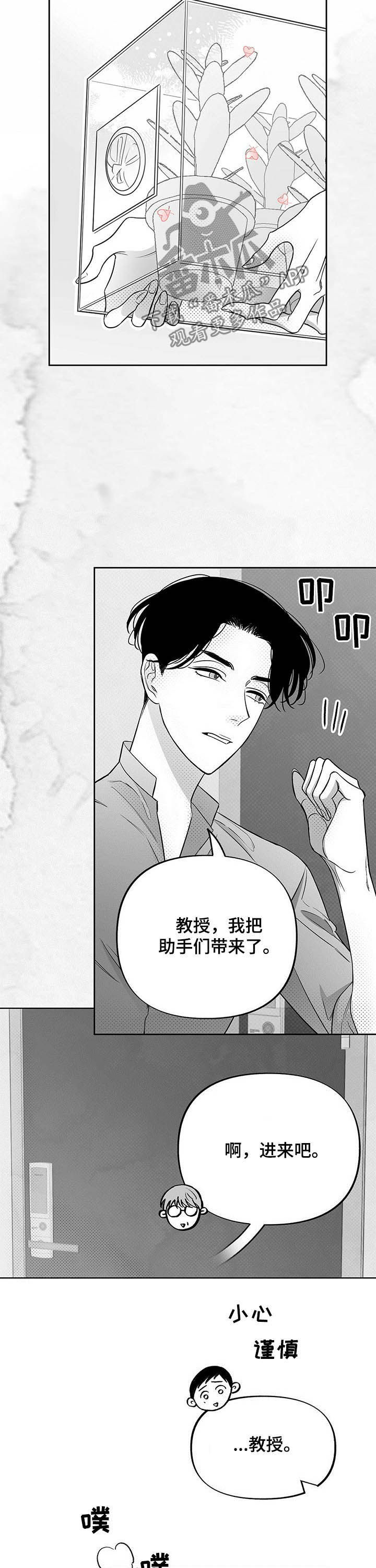 第36章：反应消失11