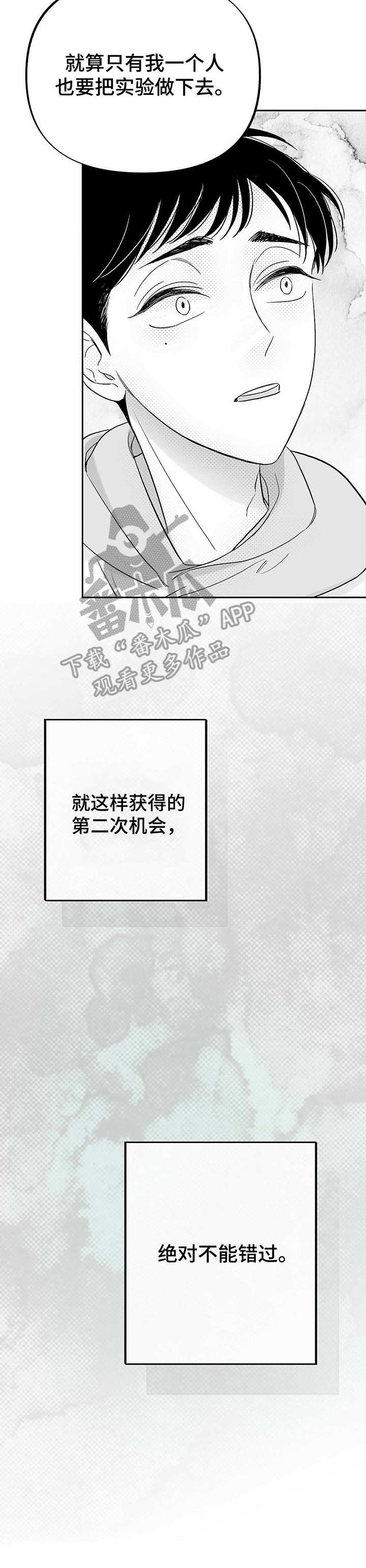 第25章：分歧6