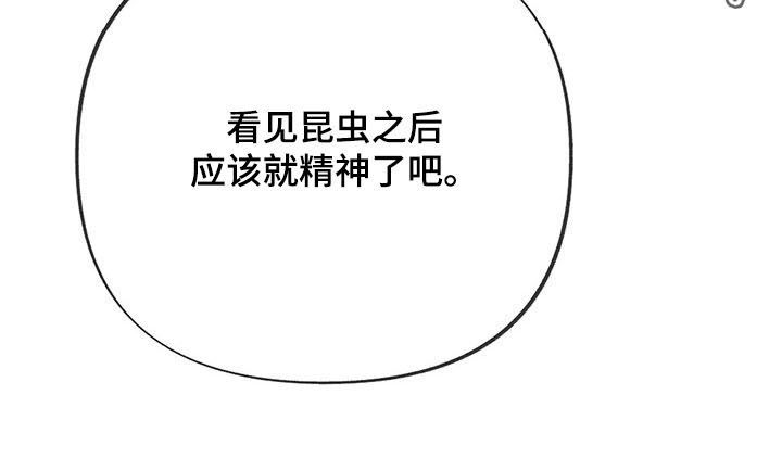 第53章：实地实习13