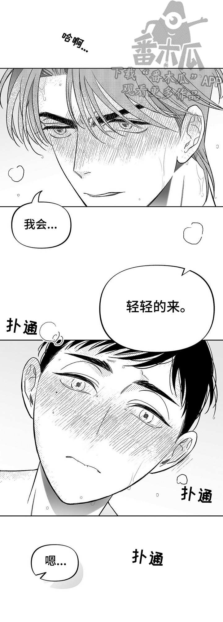 第14章：咖啡因12