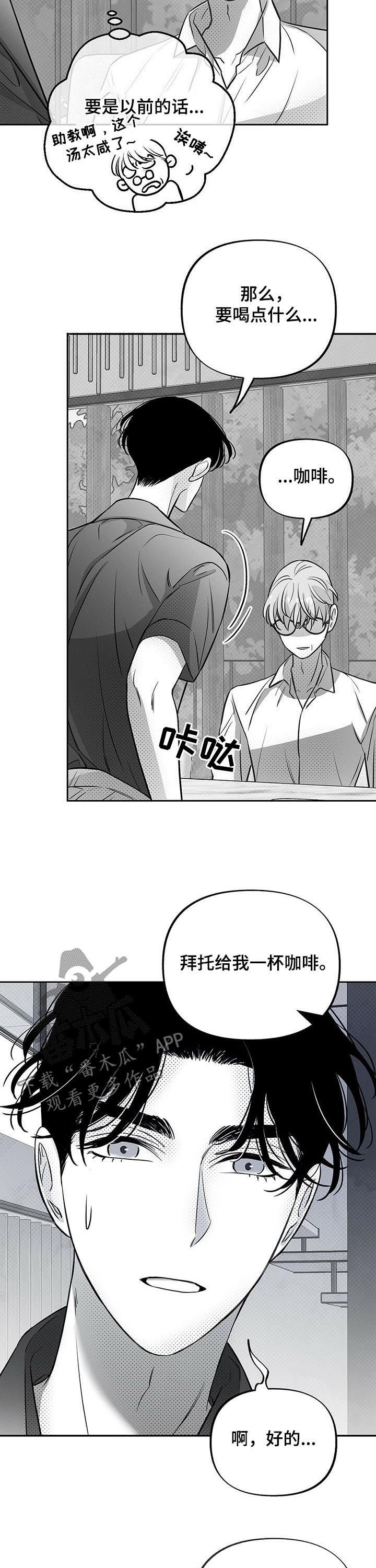 第45章：试验11