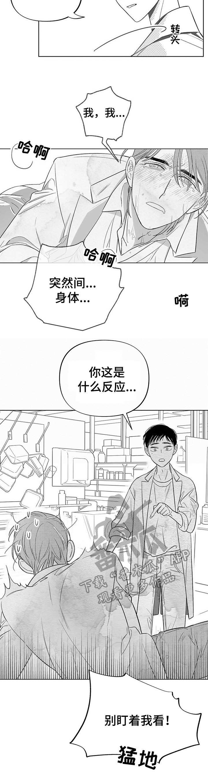 第4章：昆虫10