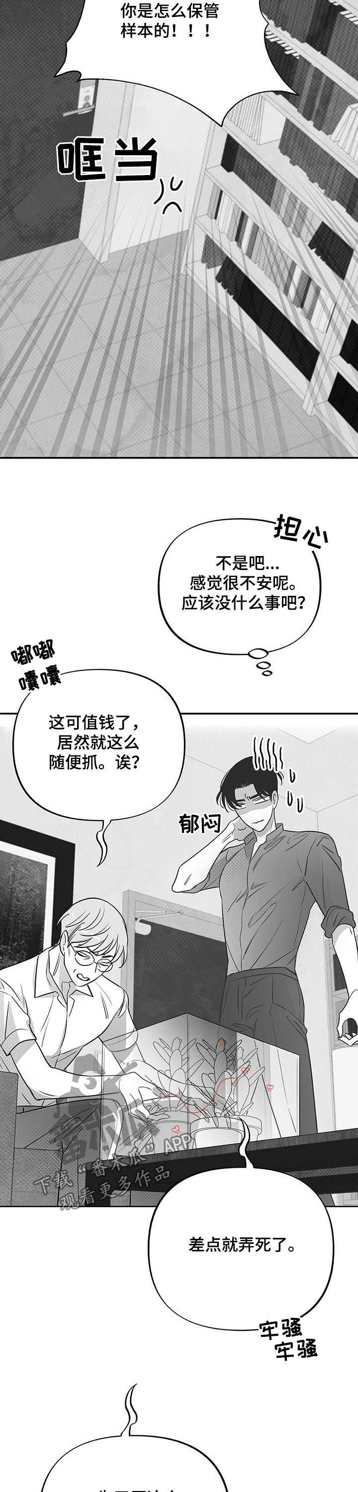 第37章：抓虫12