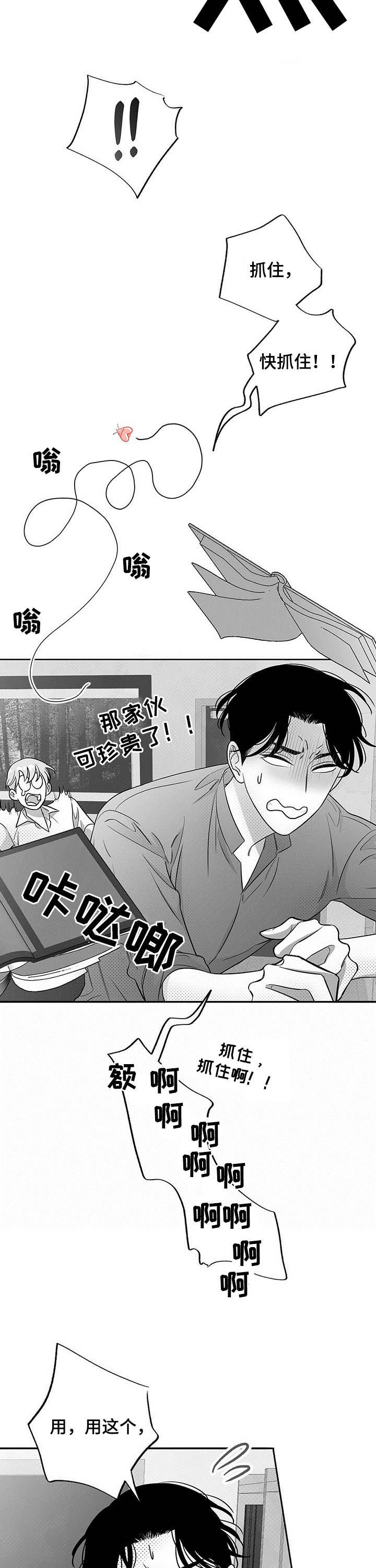 第37章：抓虫8