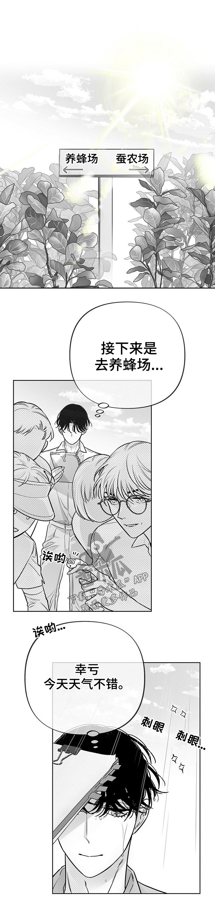 第54章：实践8