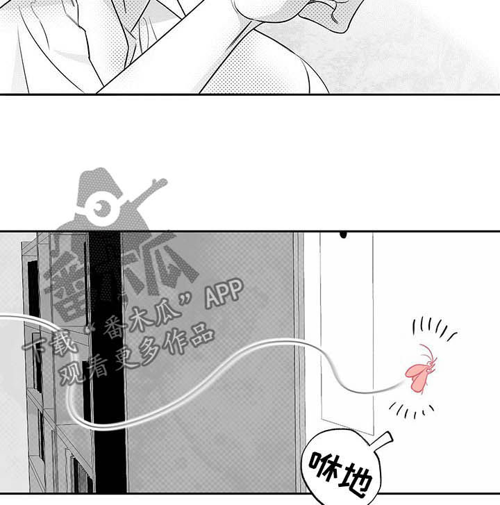 第37章：抓虫10