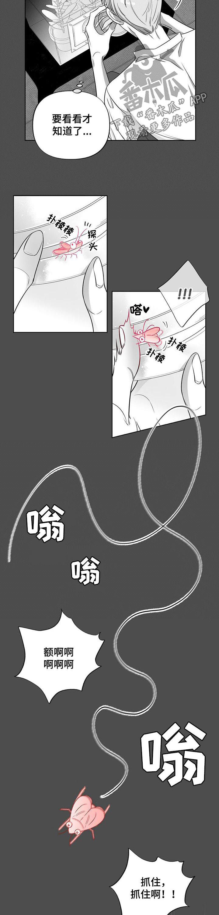 第45章：试验3