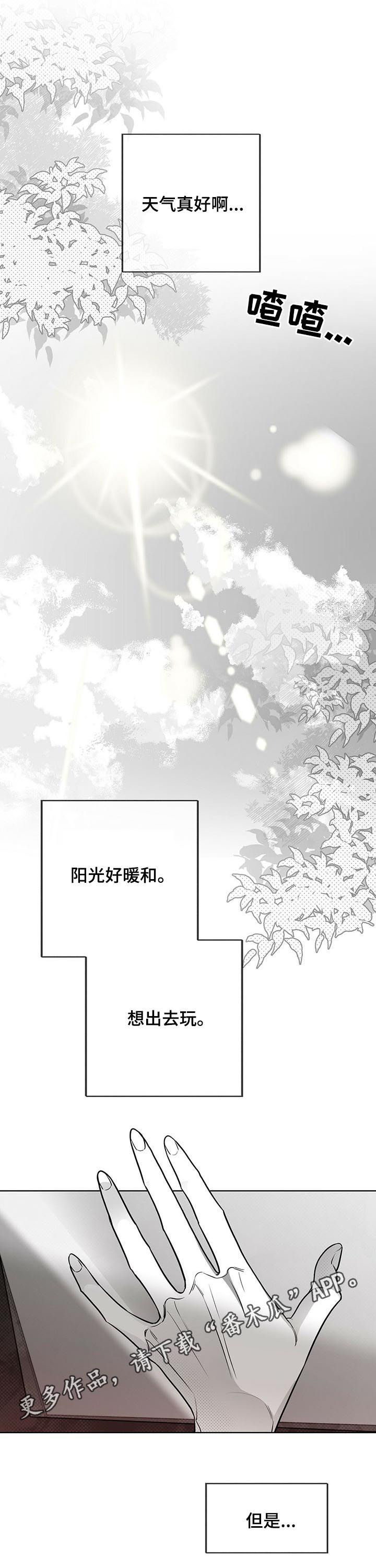 第44章：美梦0