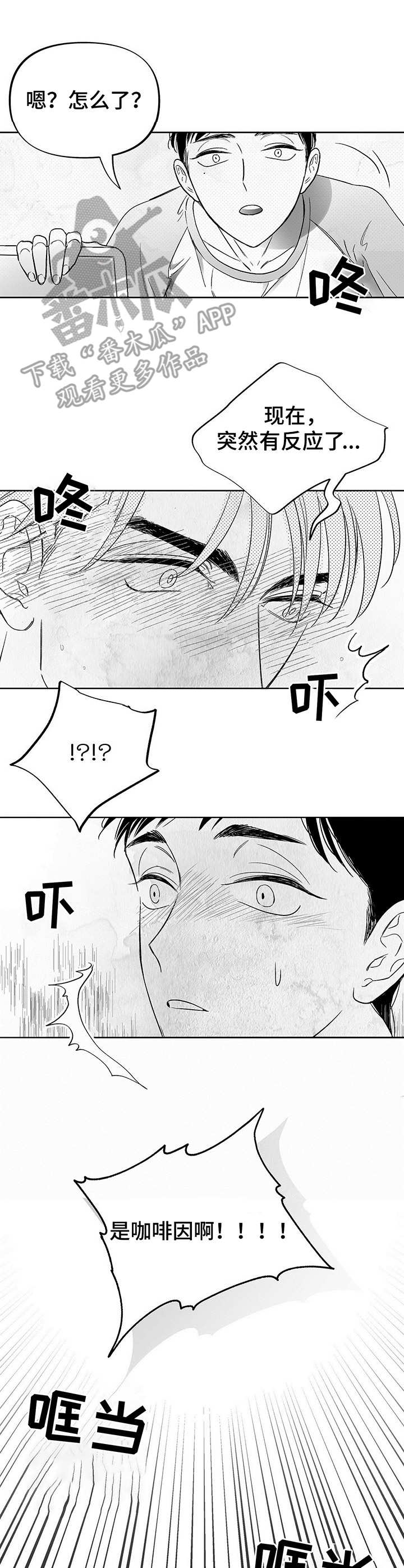 第14章：咖啡因2