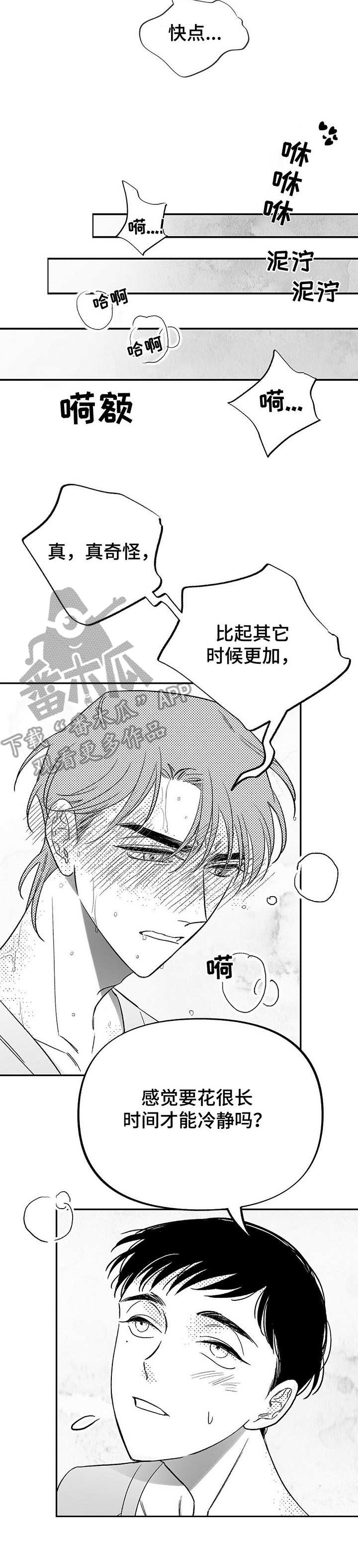 第14章：咖啡因4
