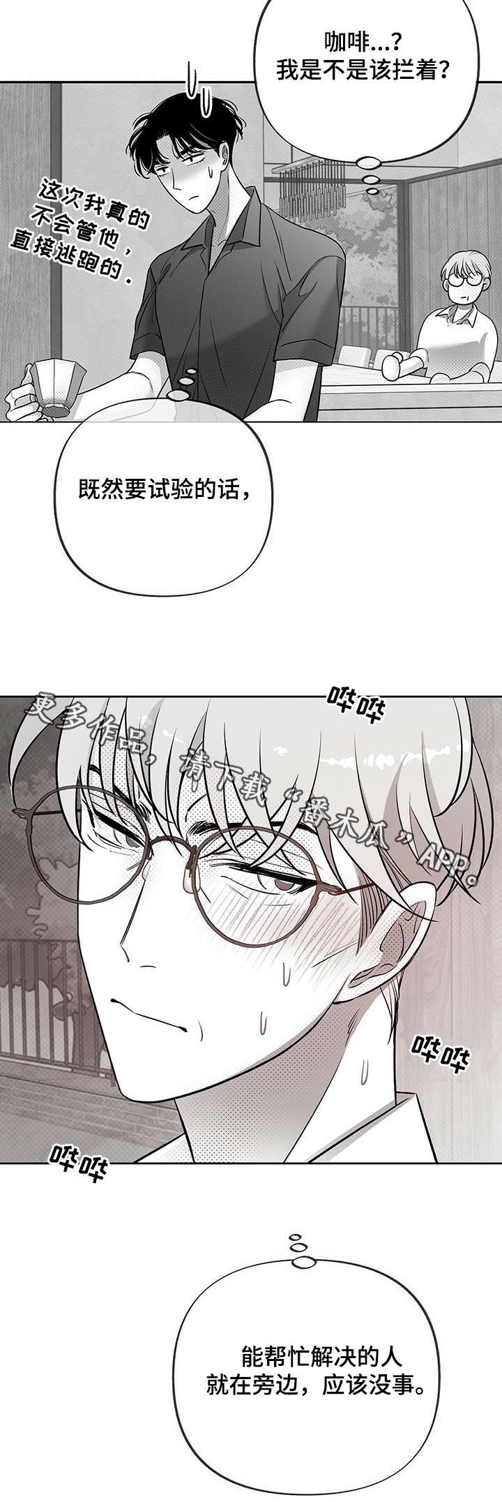 第45章：试验12