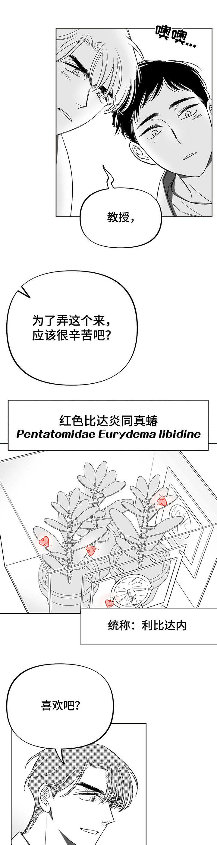 第4章：昆虫3