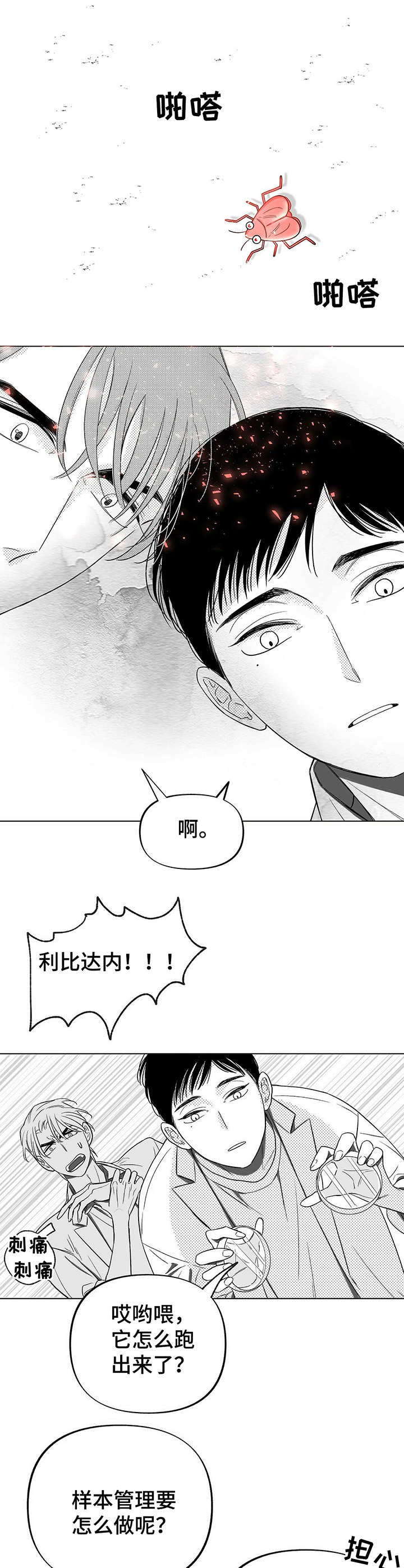第4章：昆虫7