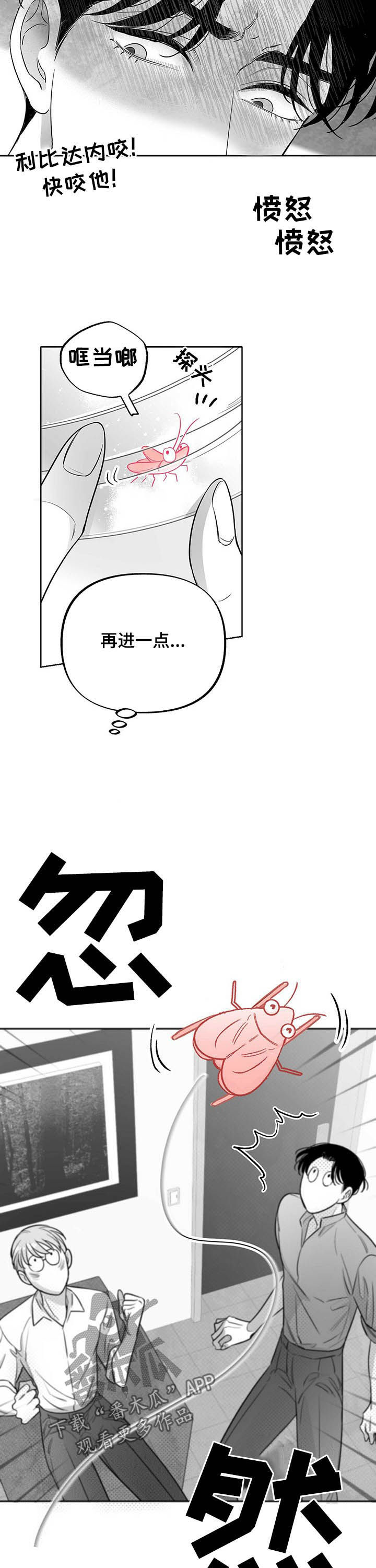 第37章：抓虫7