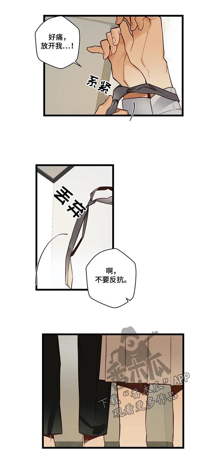 第70章：有没有话说7