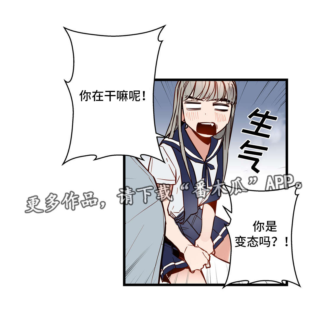 第30章：很漂亮6