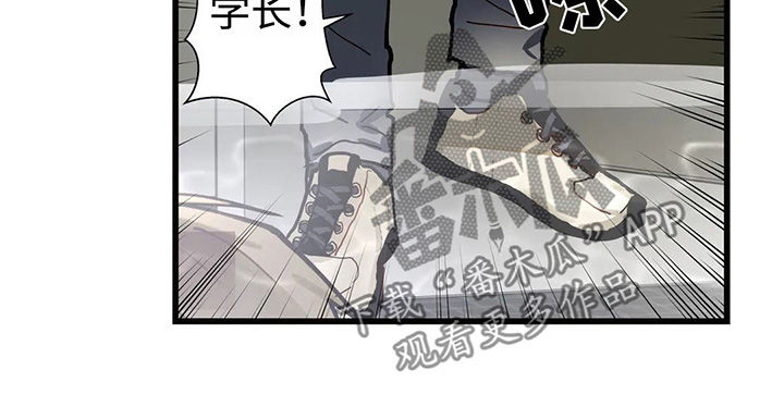 第41章：一个一个去了解3