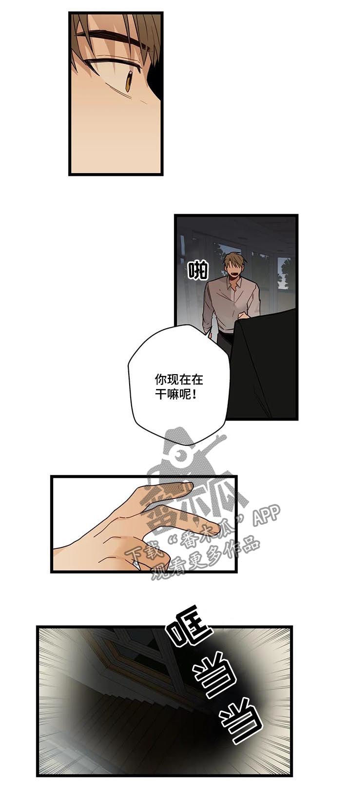 第72章：你疯了吗7