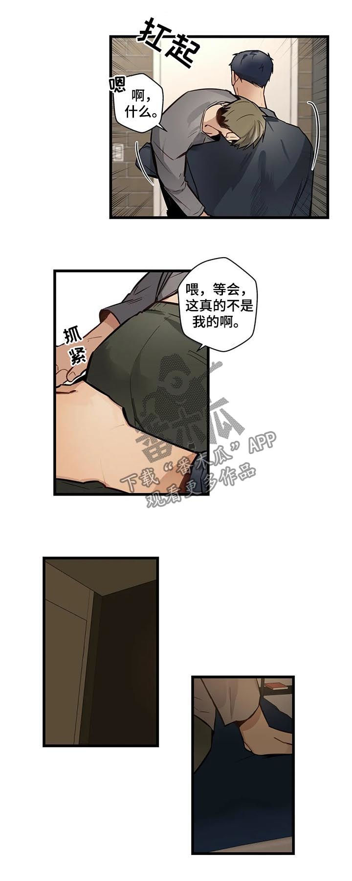 第62章：是这个吗？5
