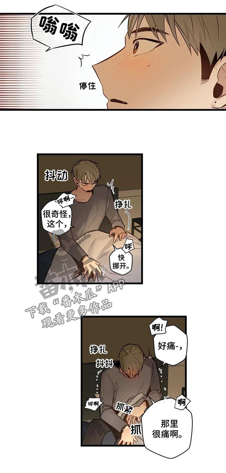 第62章：是这个吗？10