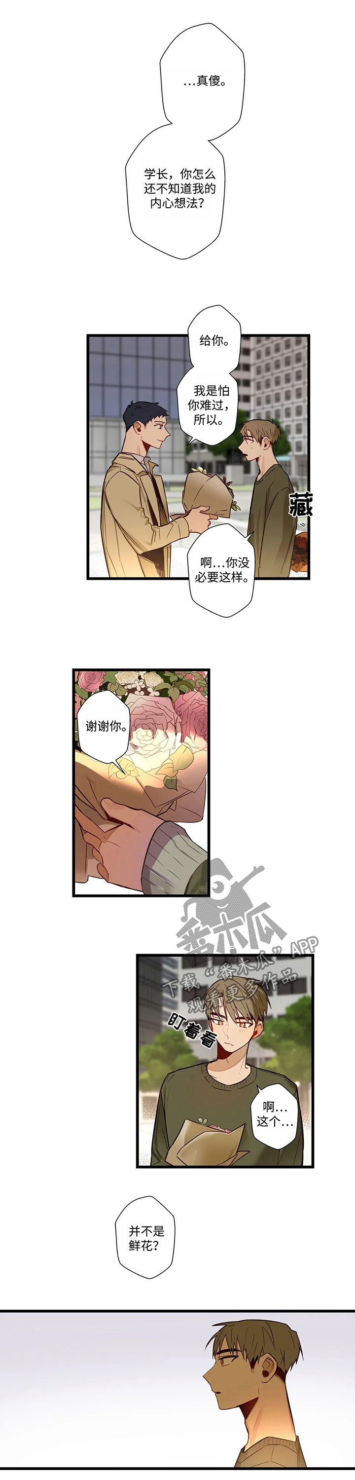 第50章：要错过了8