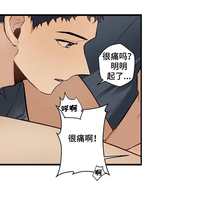 第62章：是这个吗？11