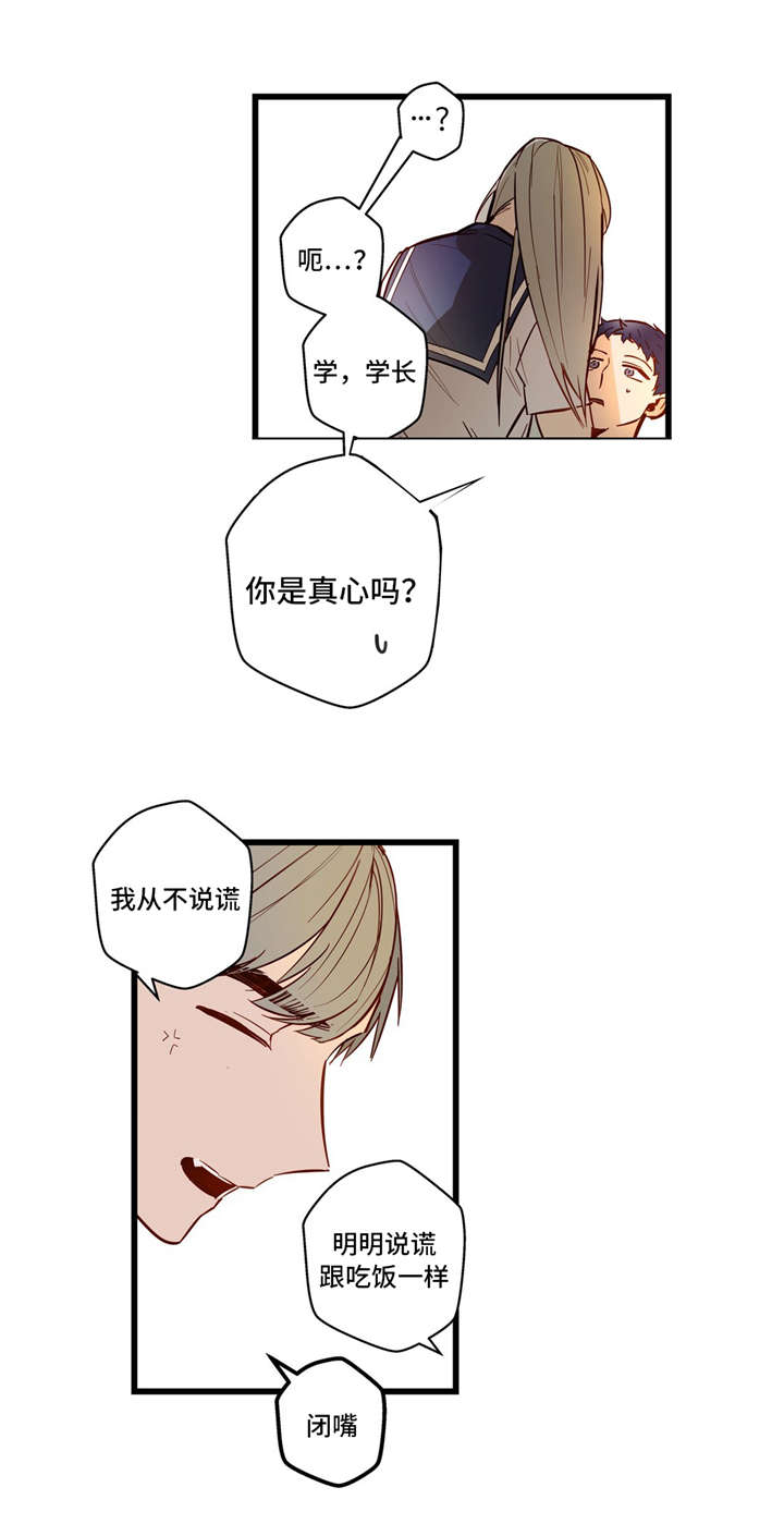 第32章：我的作用8
