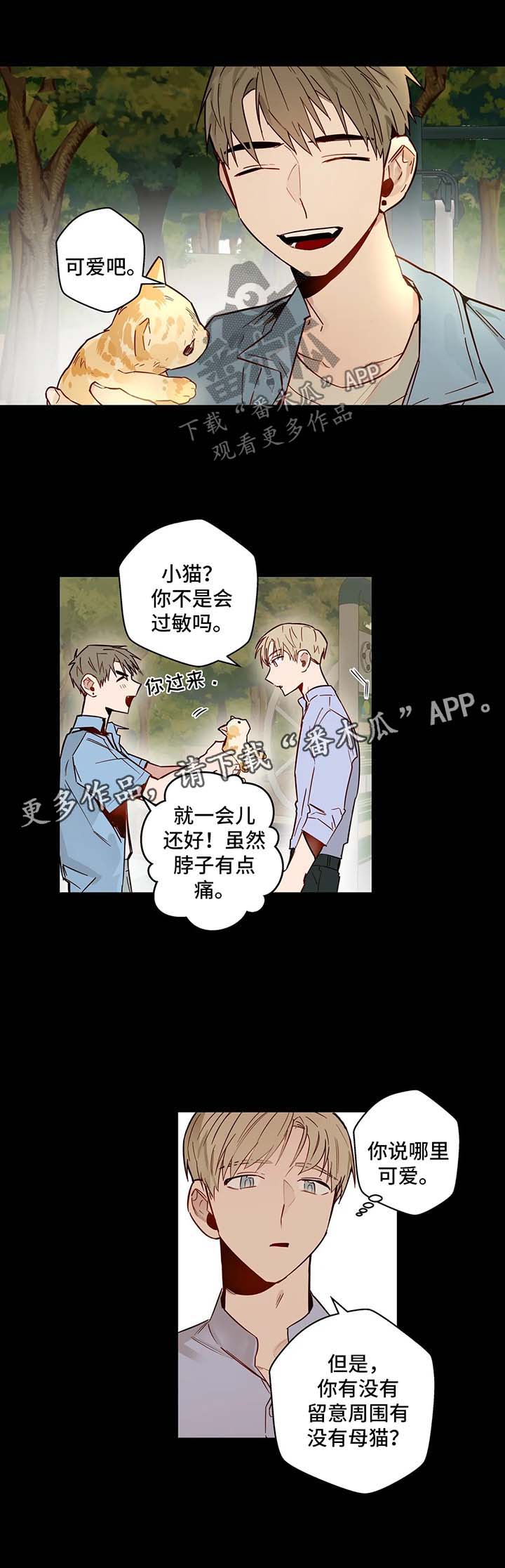 第35章：欺骗4