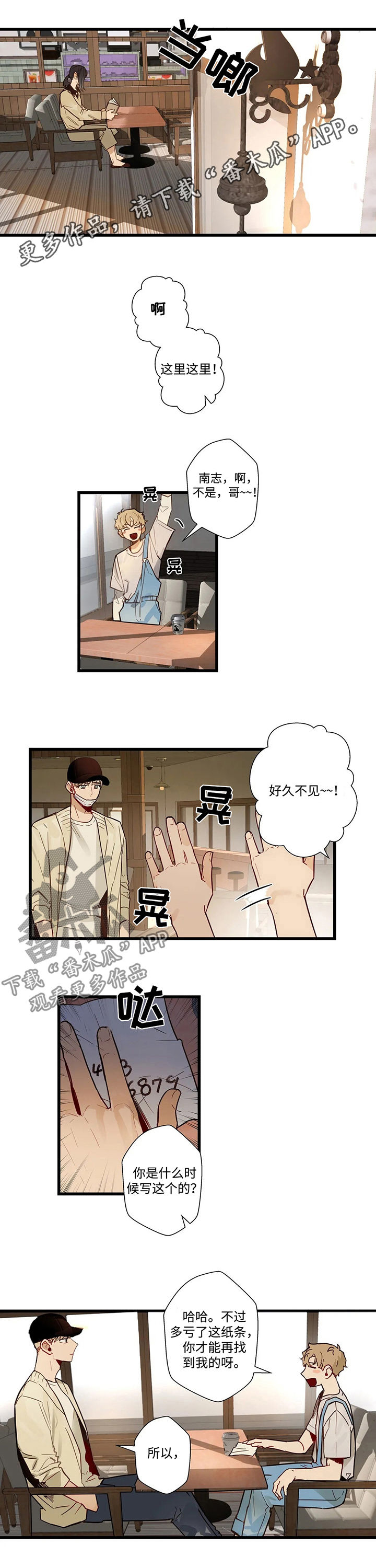 第53章：怎么回事0