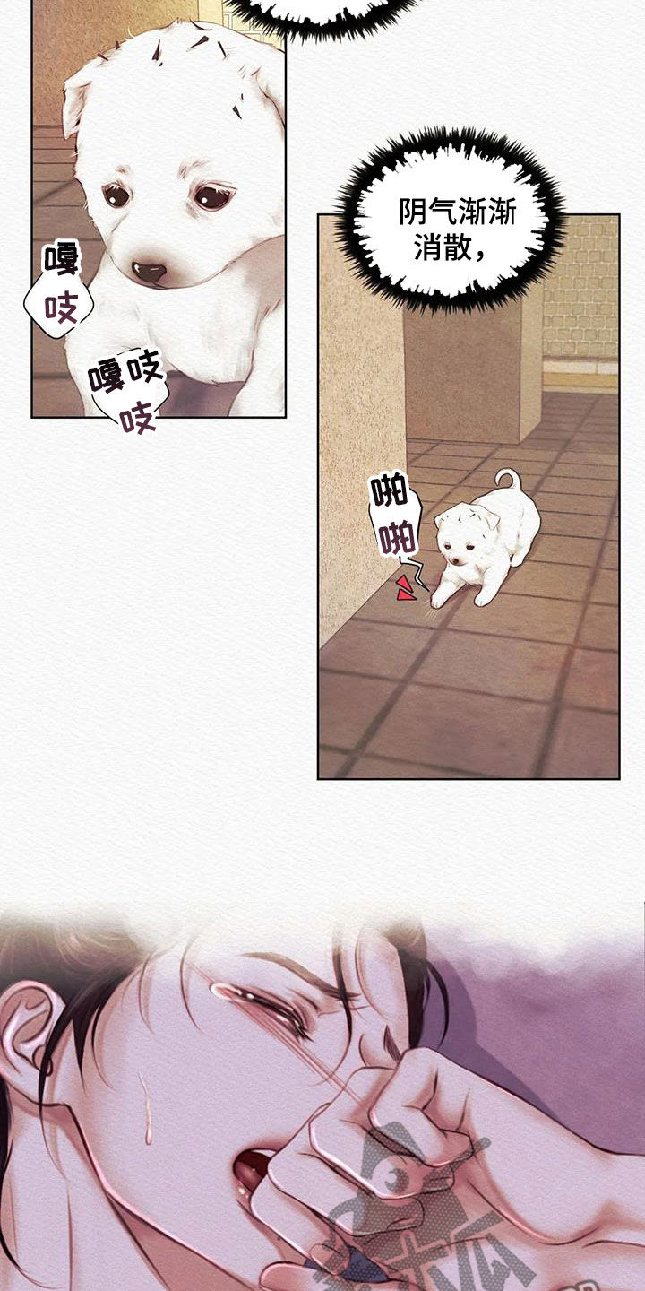 第16章：祸水东引8