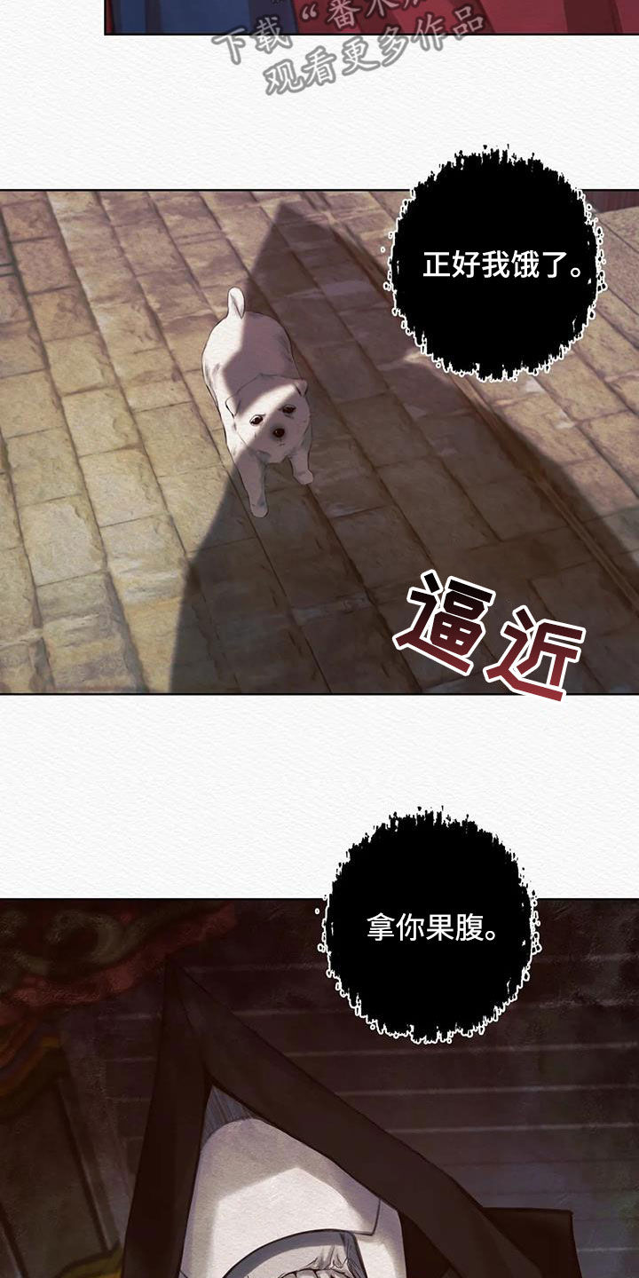 第17章：巫师7
