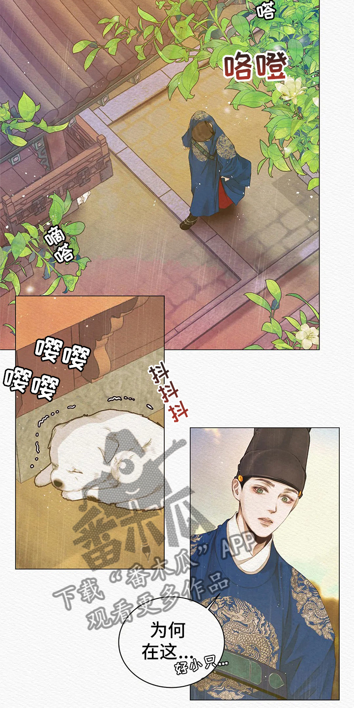 第5章：传闻12