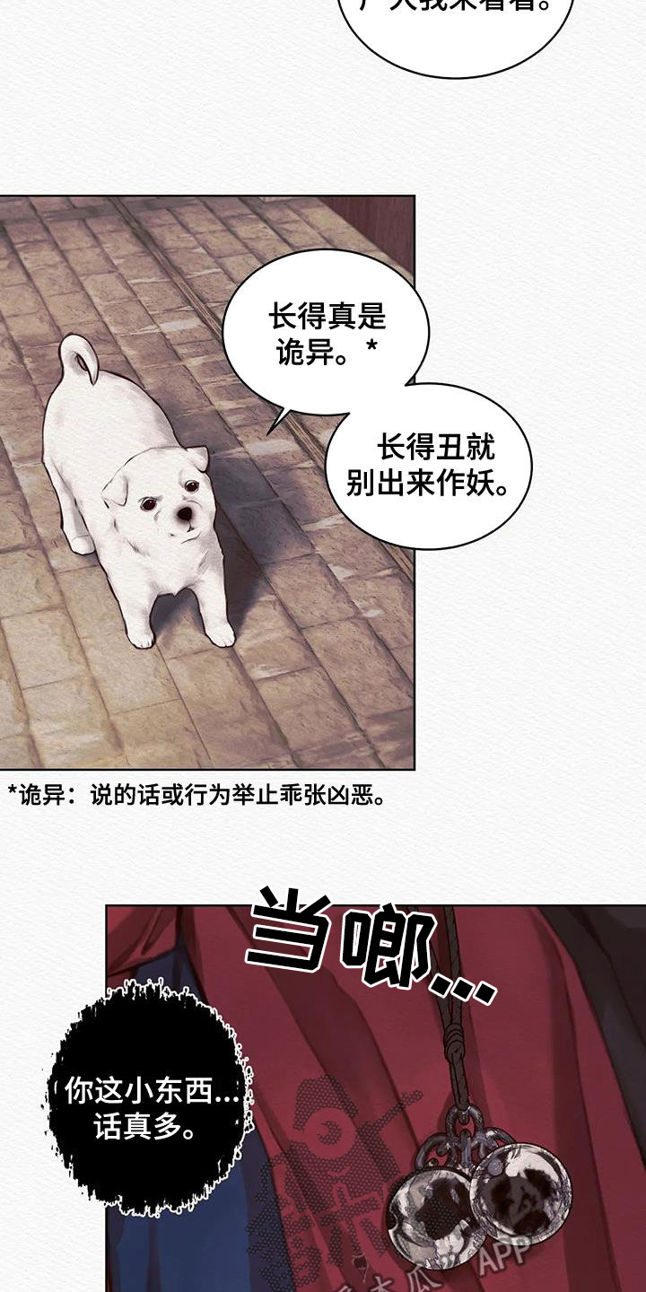 第17章：巫师6