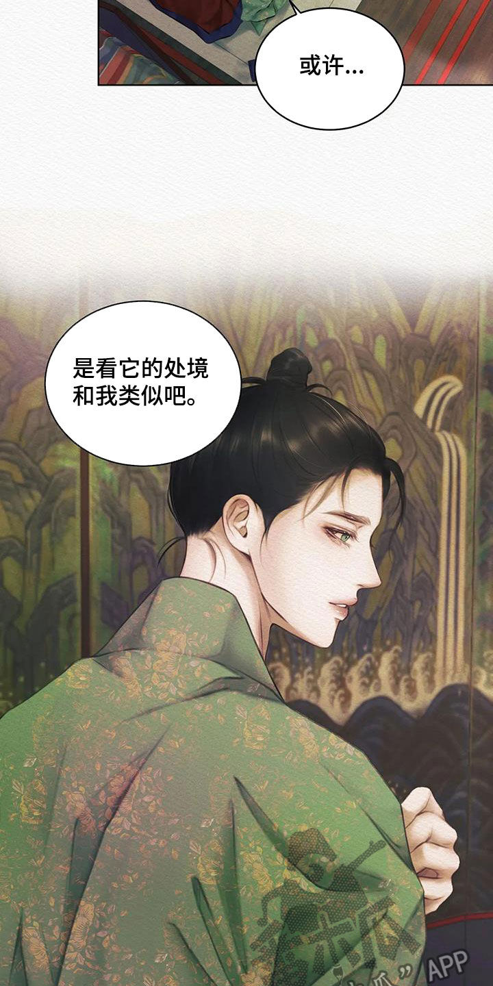第15章：不是梦11