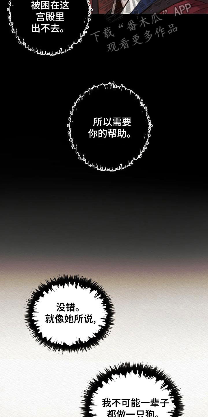 第26章：调查13