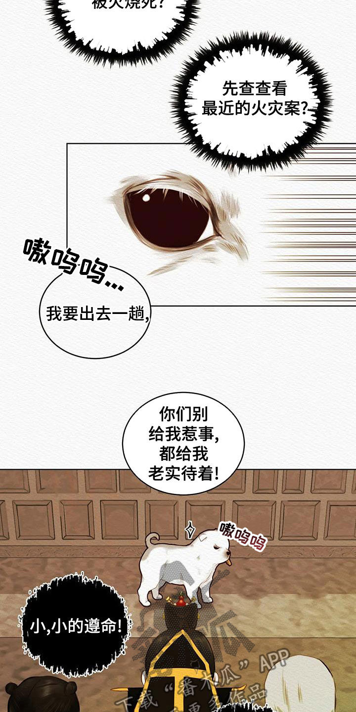 第26章：调查18