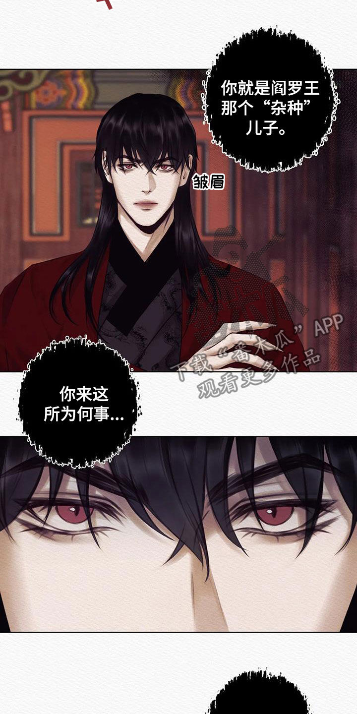 第17章：巫师14