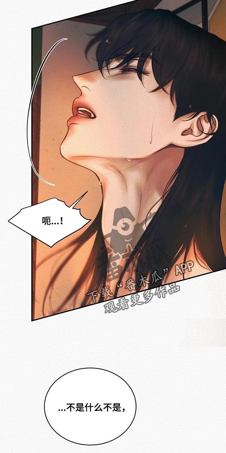 第62章：他是我的16