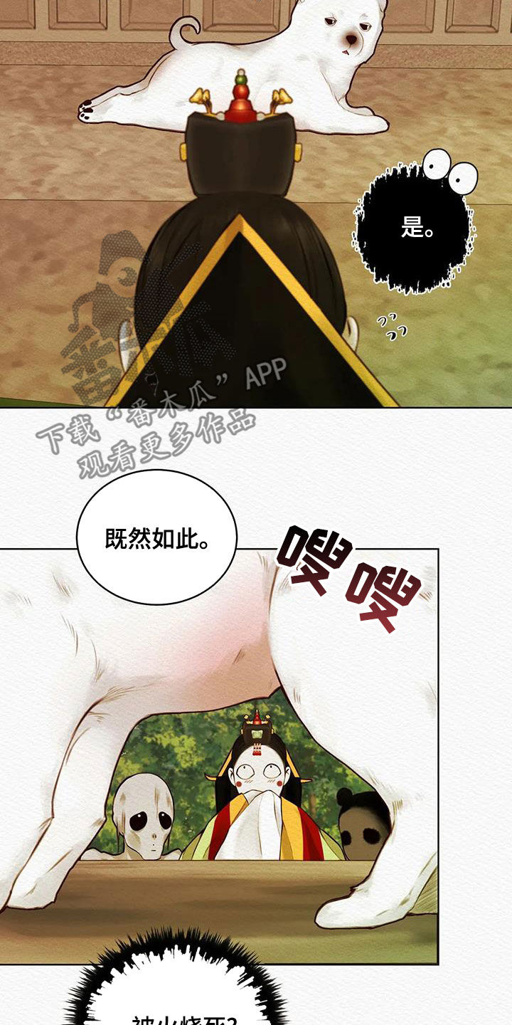 第26章：调查17