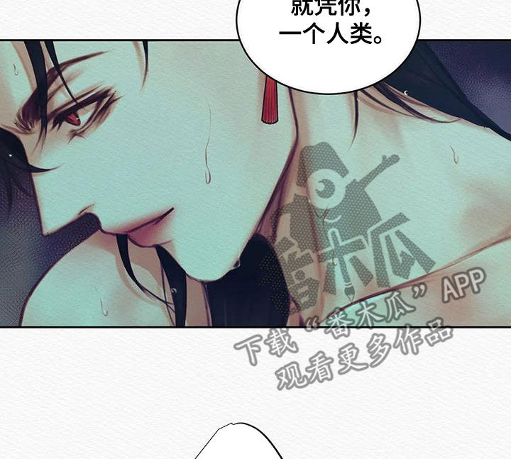 第23章：真没礼貌11