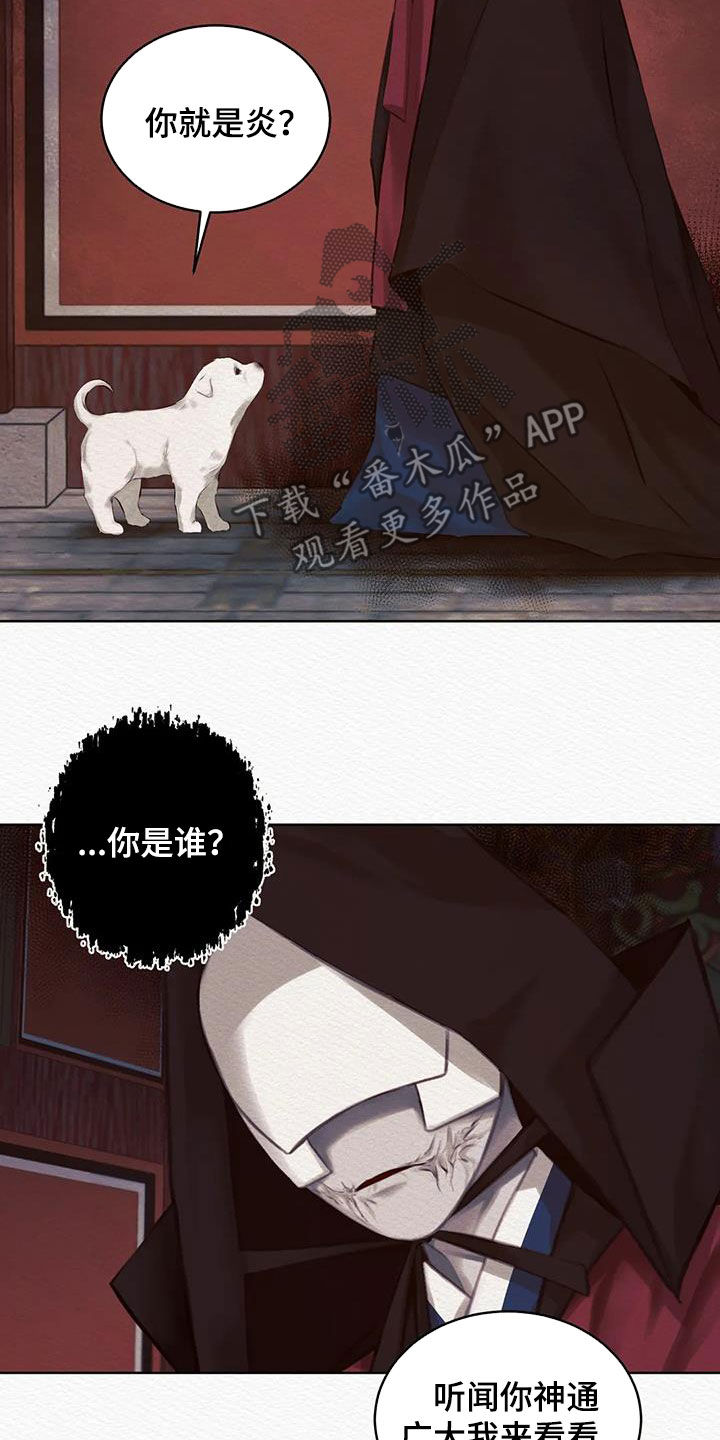 第17章：巫师5