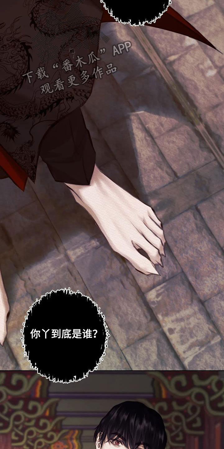 第17章：巫师11