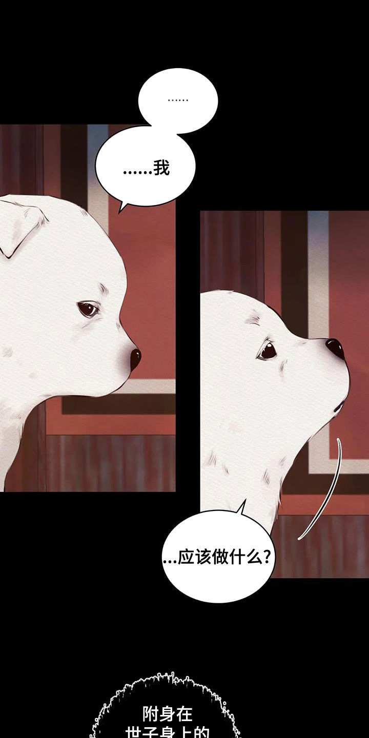第26章：调查7