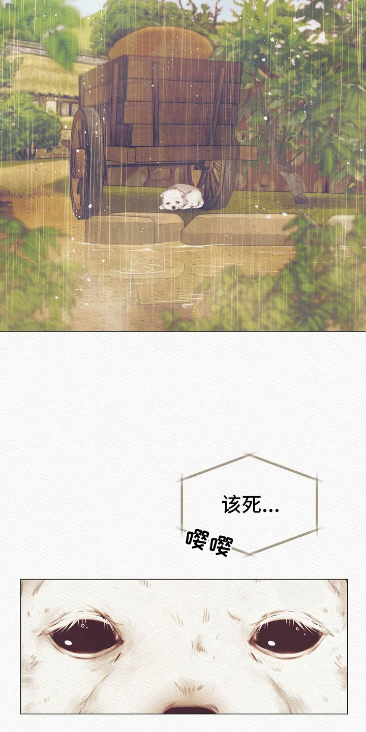 第3章：惩罚9